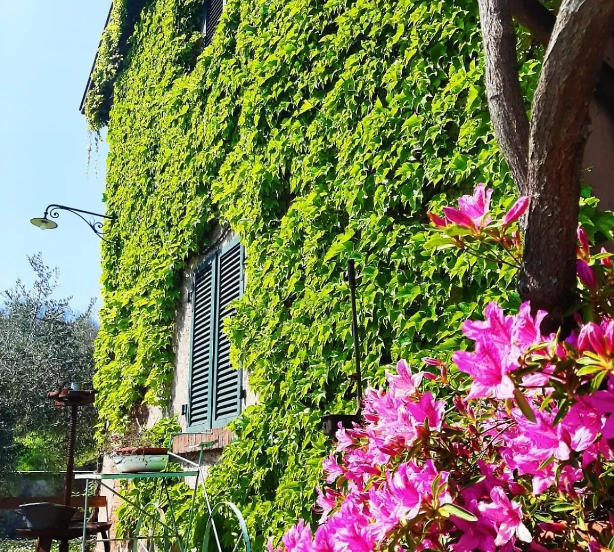 Agriturismo Ca Di Rossi Villa Mulazzo